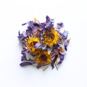 Blue Lotus Flower Tea