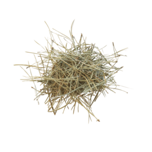 Organic Pine Needle Uncut